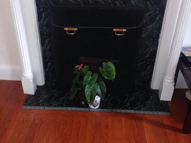 3 Waban St #A1 — Photo 7