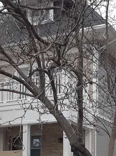 2nd image of 905 Varnum St NW