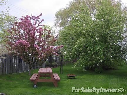 Beautiful back yard
						:
						Lilac, Plum tree, Crabapple and Apple!