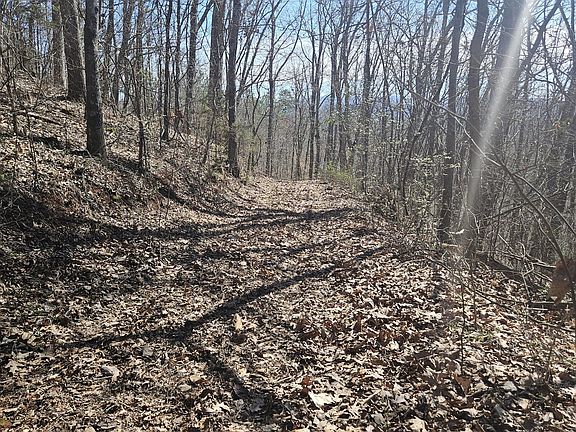 4th image of 0 Lick Creek Rd