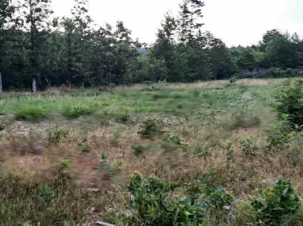 69042 Highway 21, Ellington, MO 63638