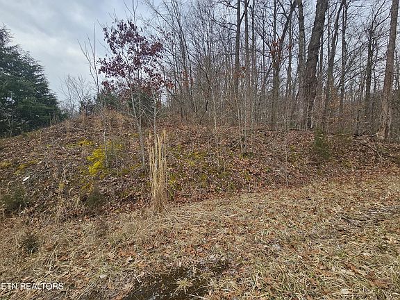 4th image of Wilderness Rd