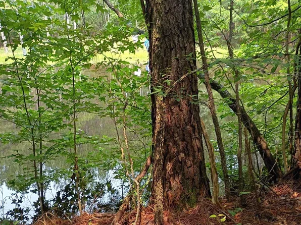 Off McDowell Rd, Edgefield, SC 29824