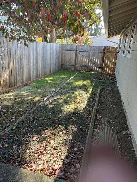 3 bed, 1.5 bath, 962 sqft, $1,800 — Photo 3