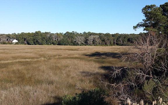 2nd image of 18 Dunbar Creek Pt