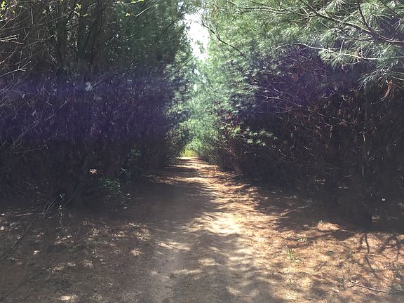 2nd image of Xxx 141st Ave SE