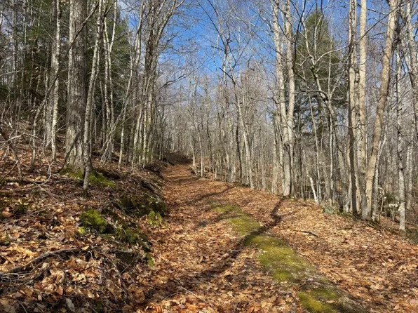 Hoyt Hill Road, Orange, NH 03741