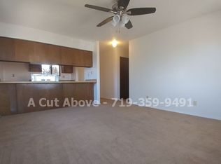 1219-1221 N Chestnut St, Colorado Springs, CO 80905