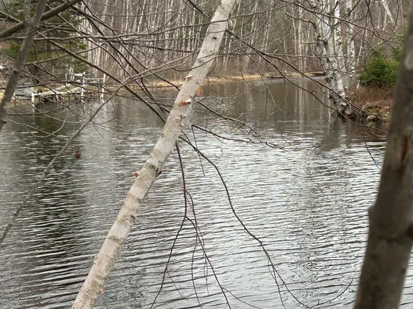 10910 Boxwood Dr #247, Stanwood, MI 49346