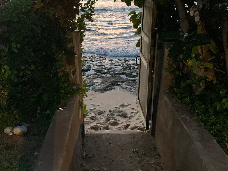 Shoreline entry from yard