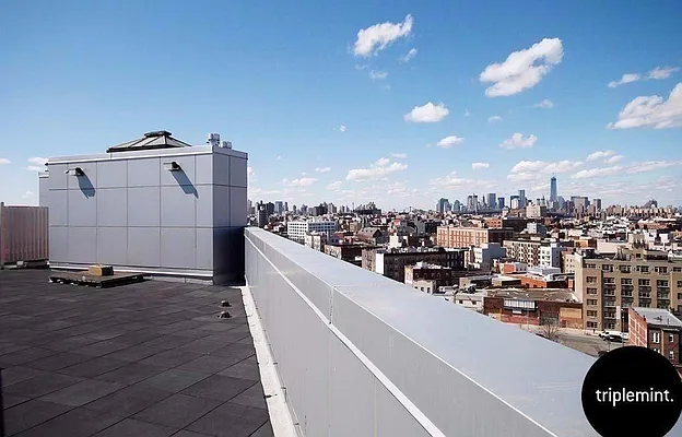 Rented by Triplemint | media 11