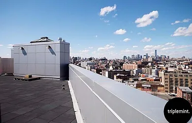 Rented by Triplemint