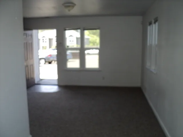 521 Vance Lake Ln — Photo 7