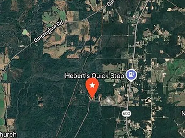 7130 Cuevas Town Rd, Kiln, MS 39556