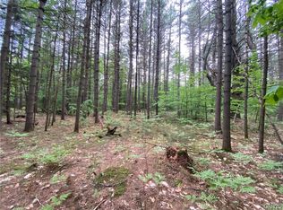 0 Penny Settlement Rd #39, Pt Leyden, NY 13433