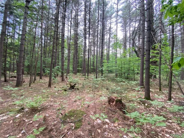 0 Penny Settlement Rd #39, Pt Leyden, NY 13433