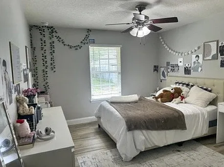 41 Primrose Ln — Photo 14