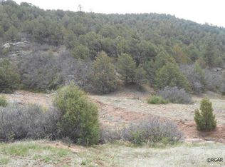 LOT 28 S Whiskey Park, Canon City, CO 81212