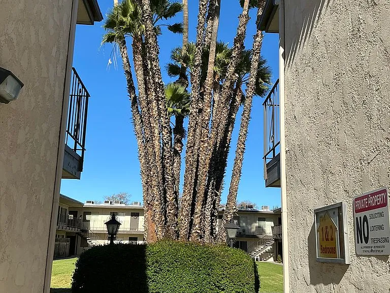 Casa Granada — Photo 13