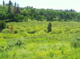 Tbd Ute Trail, Oak Creek, CO 80467