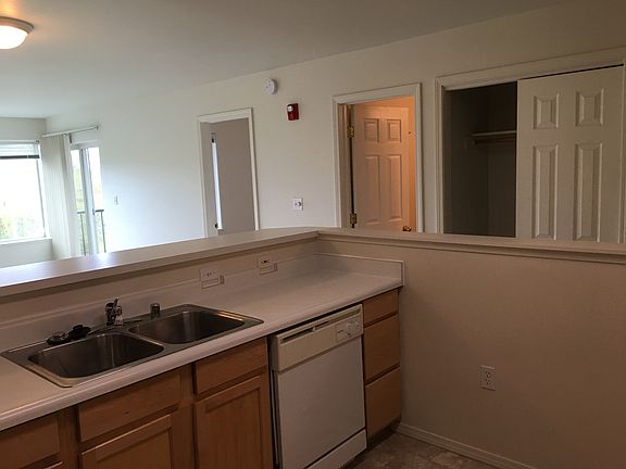 View from Kitchen