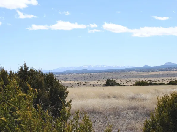 37 Lost Calf Ln, Magdalena, NM 87825