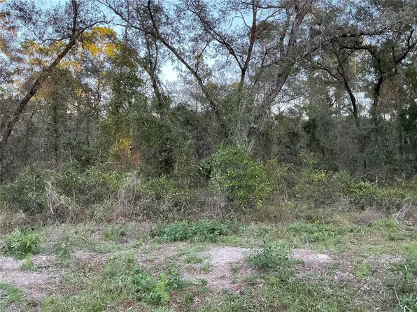 NW Ridgewood Rd Lot 28, Dunnellon, FL 34431
