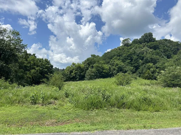102 Rutherford Ln #102, Smithville, TN 37166