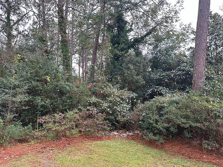 804 Valley View St — Photo 59