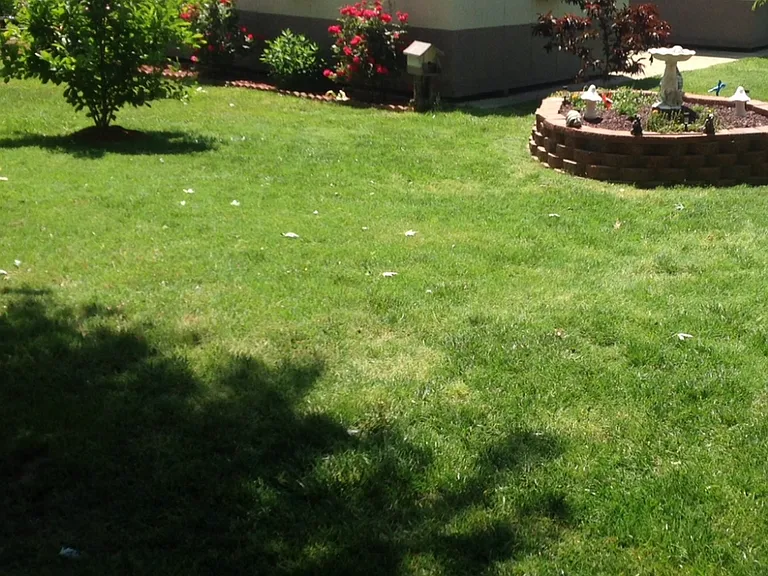 1071 Lakeview Dr — Photo 2