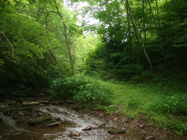 8321 Leonard Cordova Rd, Renick, WV 24966