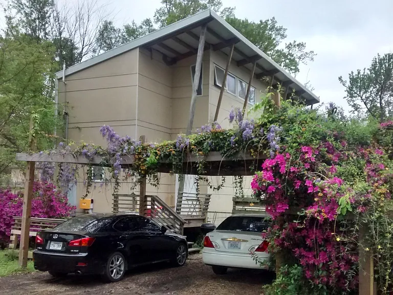 The carport in full bloom!