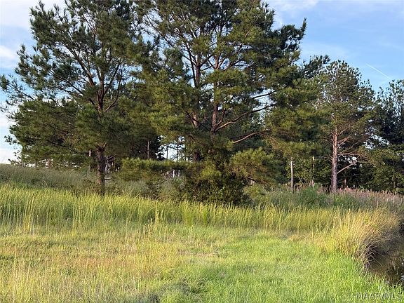5th image of LOT 4 Chesson Ct