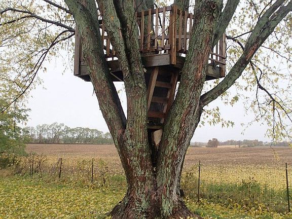 Treehouse in backyard