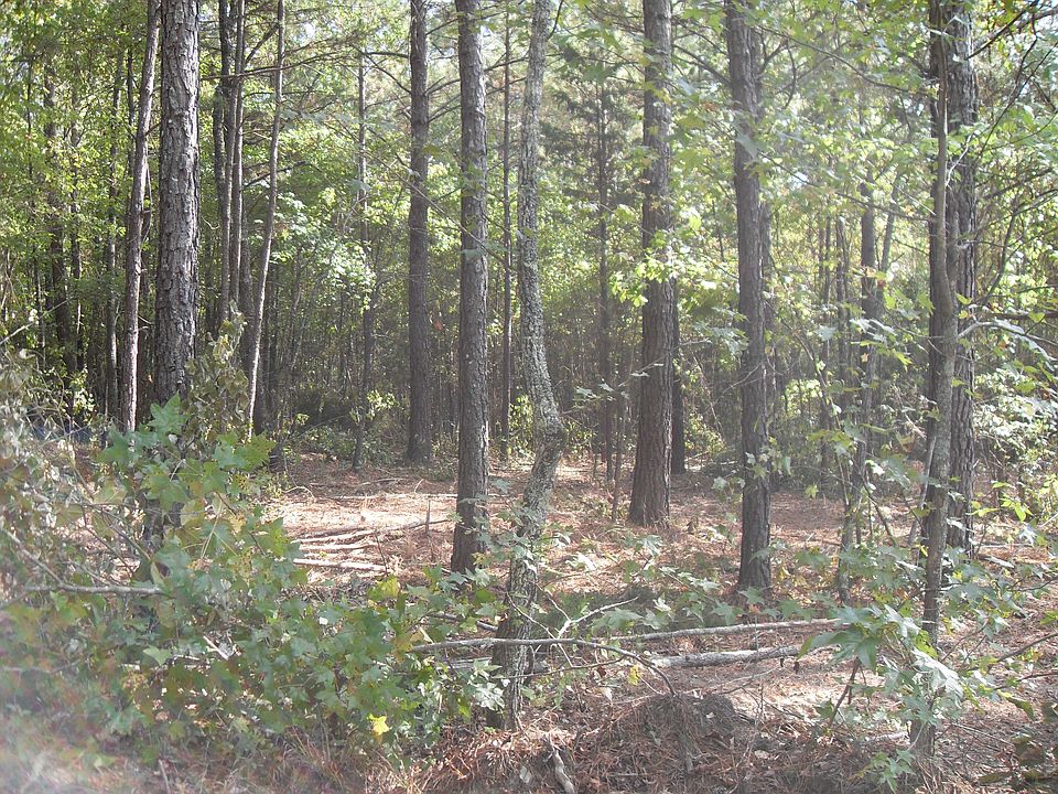 2nd image of 950 E Teems Rd Lot 1