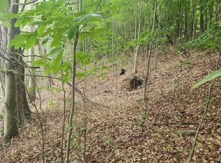 PARCEL 17 N Route 220, Dushore, PA 18614