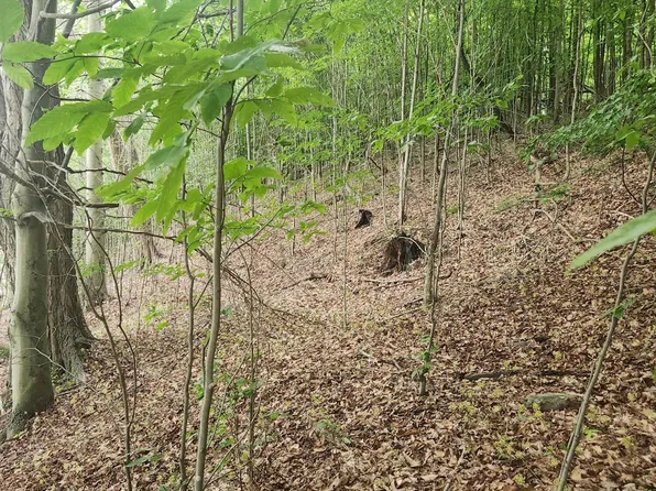 PARCEL 1 North Rd #220, Dushore, PA 18614