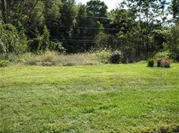 3 bed, 1.5 bath, 1403 sqft, $3,500 — Photo 3