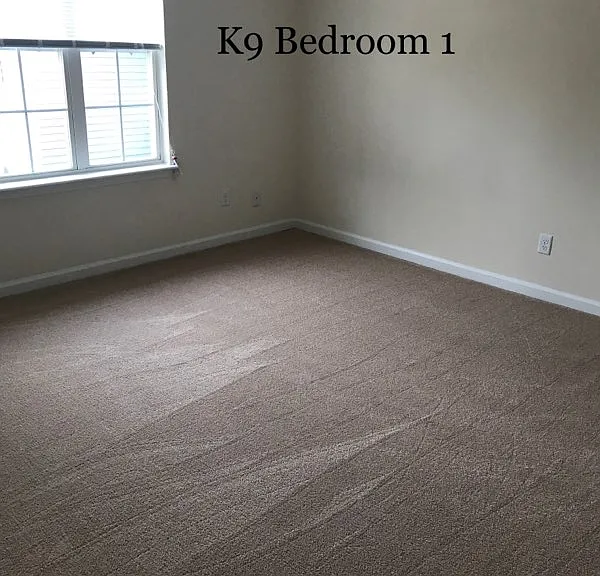 Bridgewater Apartments — Photo 21