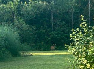 Mielke Rd, Hawks, MI 49743