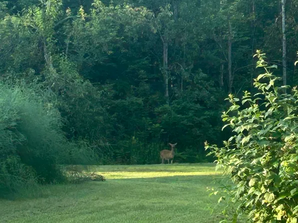 Mielke Rd, Hawks, MI 49743