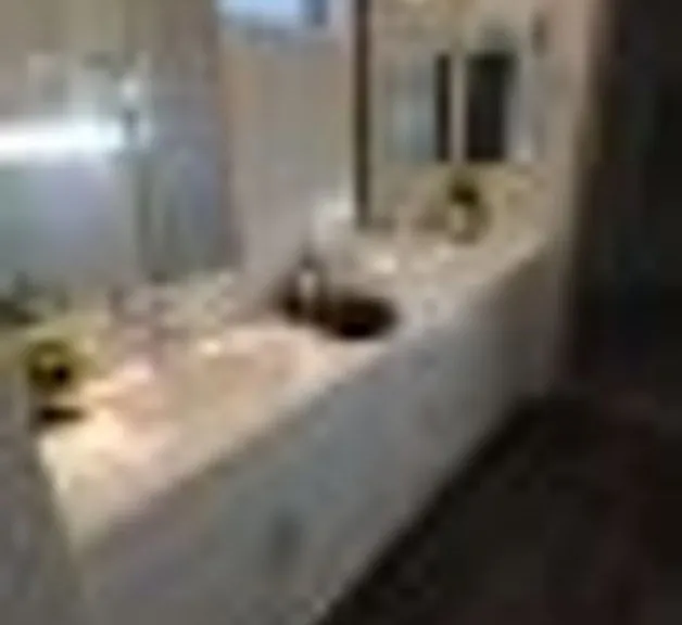 300 N Gila Springs Blvd #114 — Photo 13
