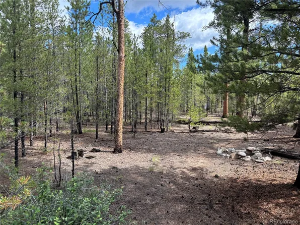 399 Fir Drive LOT 124, Twin Lakes, CO 80461