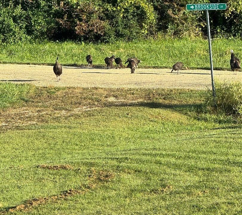 38th image of this home