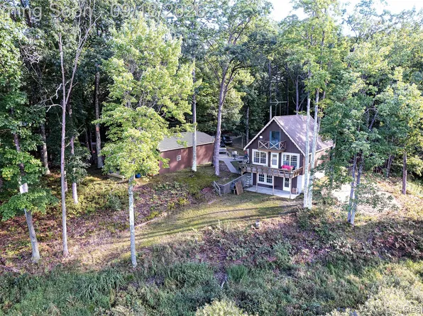9154 W Ridge View Dr, Irons, MI 49644