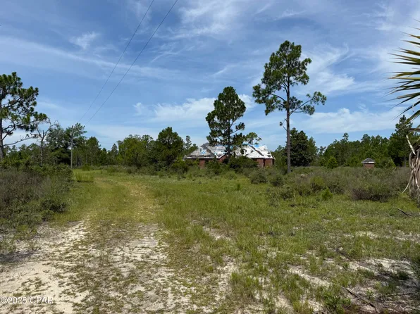 19660 NW Alice Vreeland Rd, Altha, FL 32421