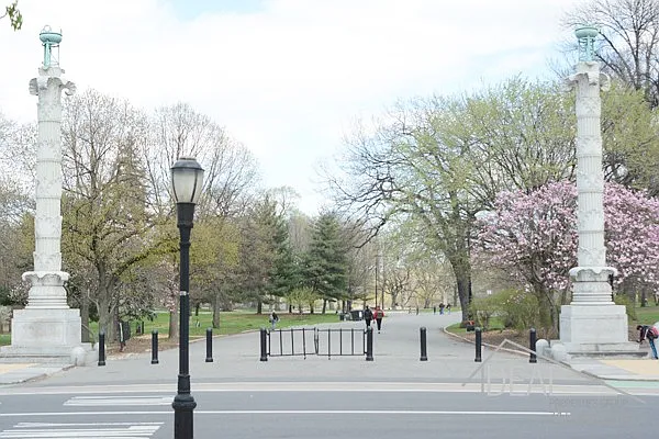 Rented by Ideal Properties Group | media 27