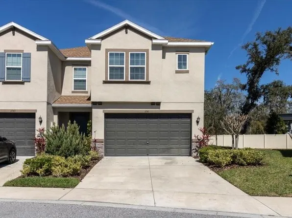 6741 Citrus Creek Ln, Tampa, FL 33625