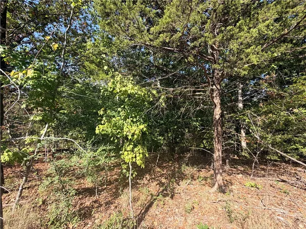 11 Hurlford Ln #6, Bella Vista, AR 72715