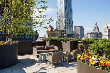 15 Cliff at 15 Cliff Street in Fulton/Seaport